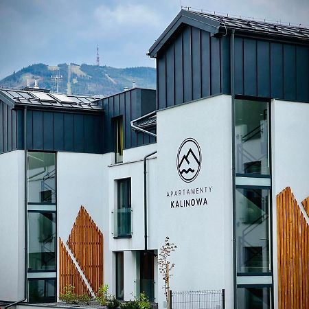 Apartamenty Riders Lodge Szczyrk Kalinowa Bagian luar foto